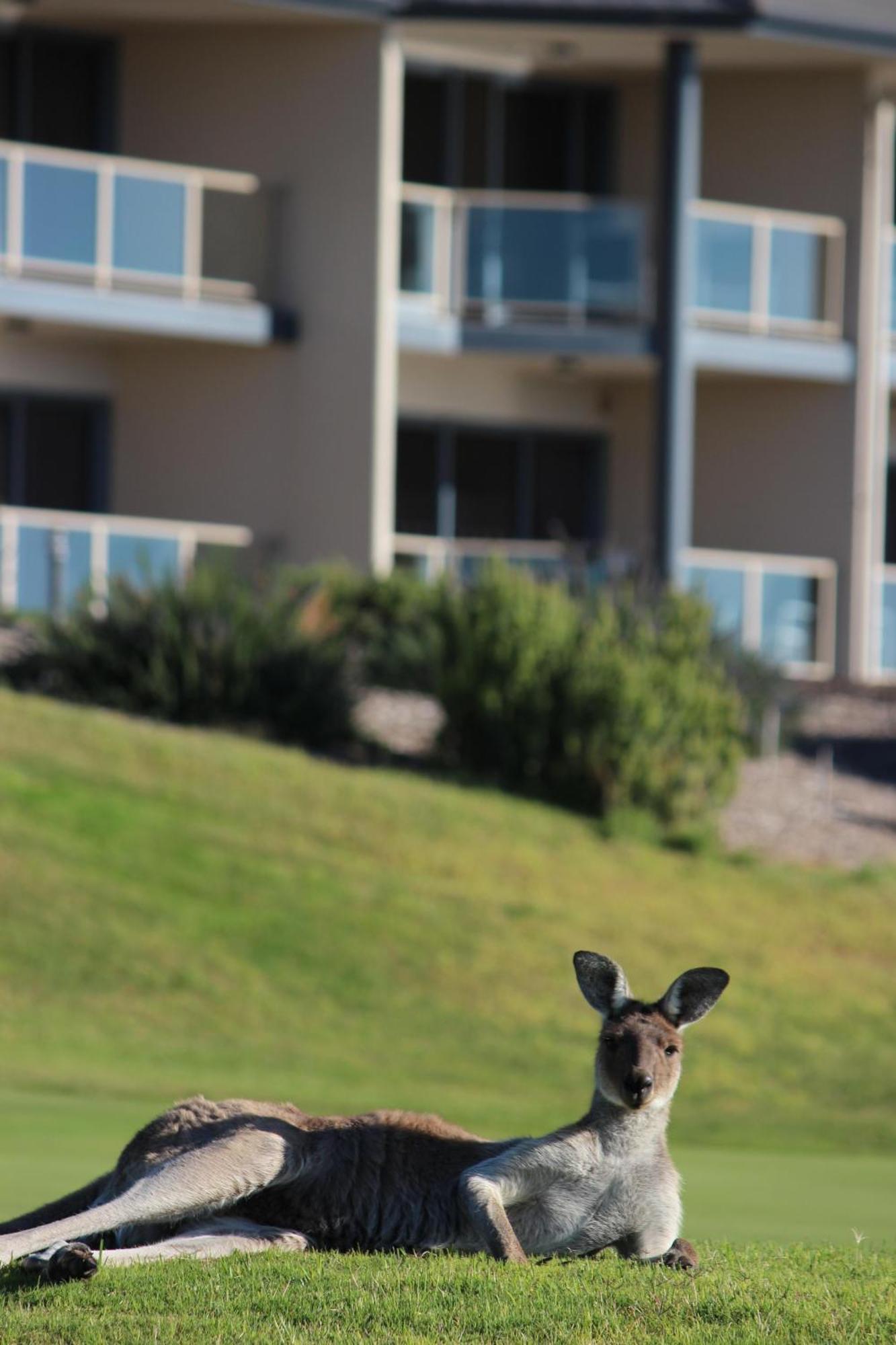 Lady Bay Hotel Normanville Exterior foto